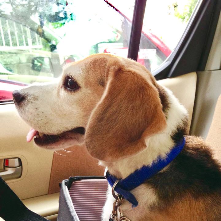 3d0dd8bf 9d62 4a0e 9bca 1a0190494e71 1758204786632