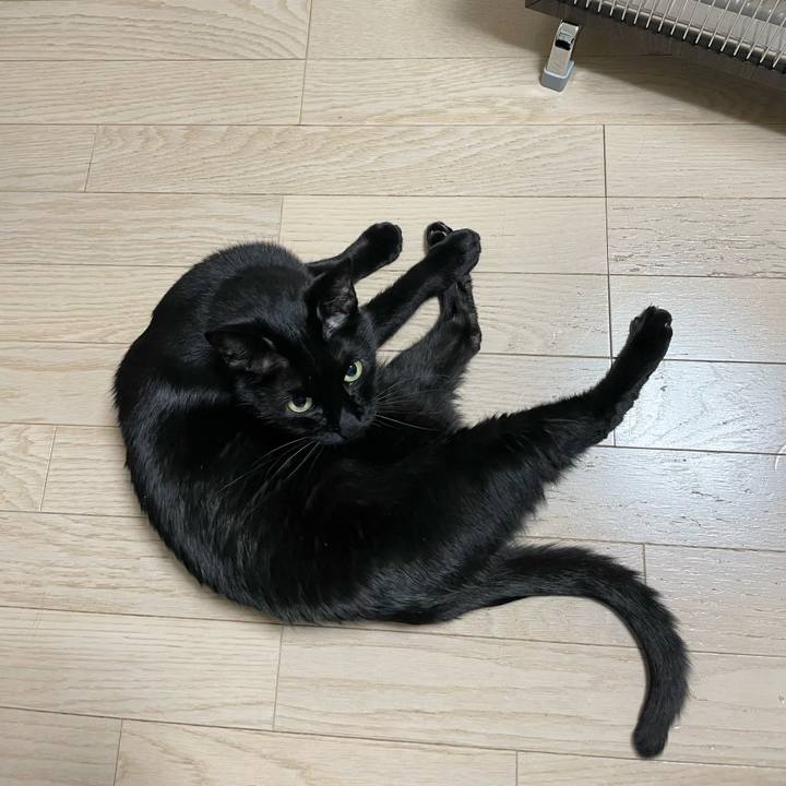 3d0e0d86 745f 48b9 b457 9e66111ecb61 1642255356726