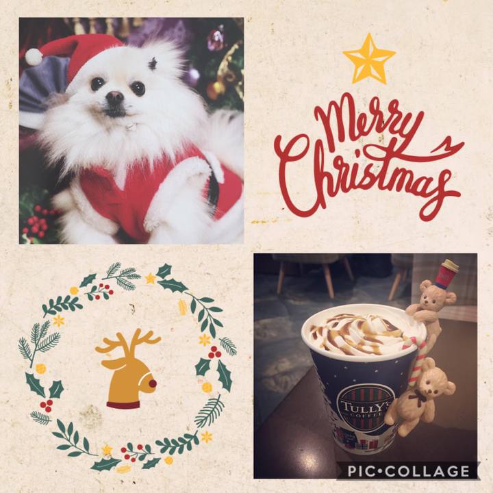 3d0e4b30 5e0a 429c abab 79ff0c5372f2 1574853469263