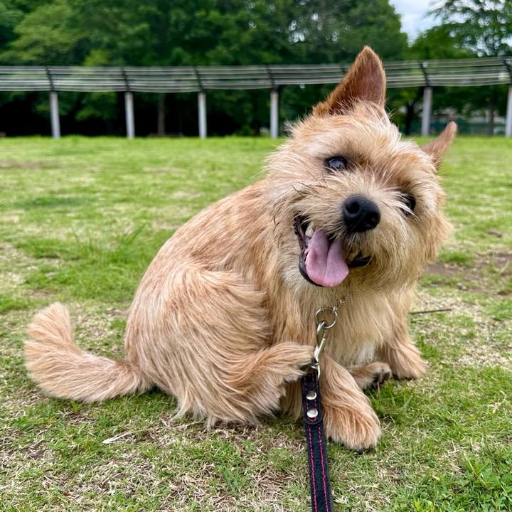 3d0e52d5 b563 4d2c 8123 dd8b57ffa736 1749302494294