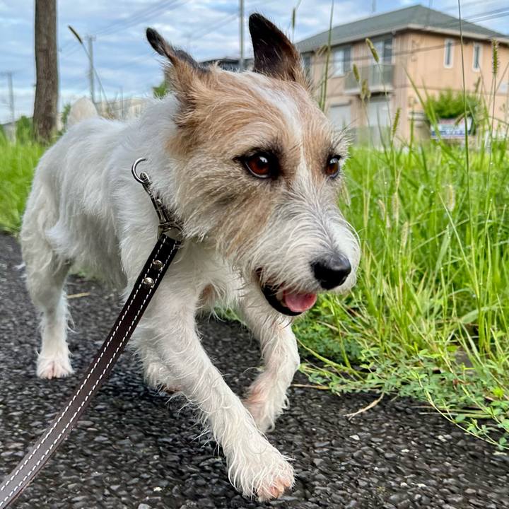 3d0e538c c8e1 47ee a539 00340a57b15c 1725197896844