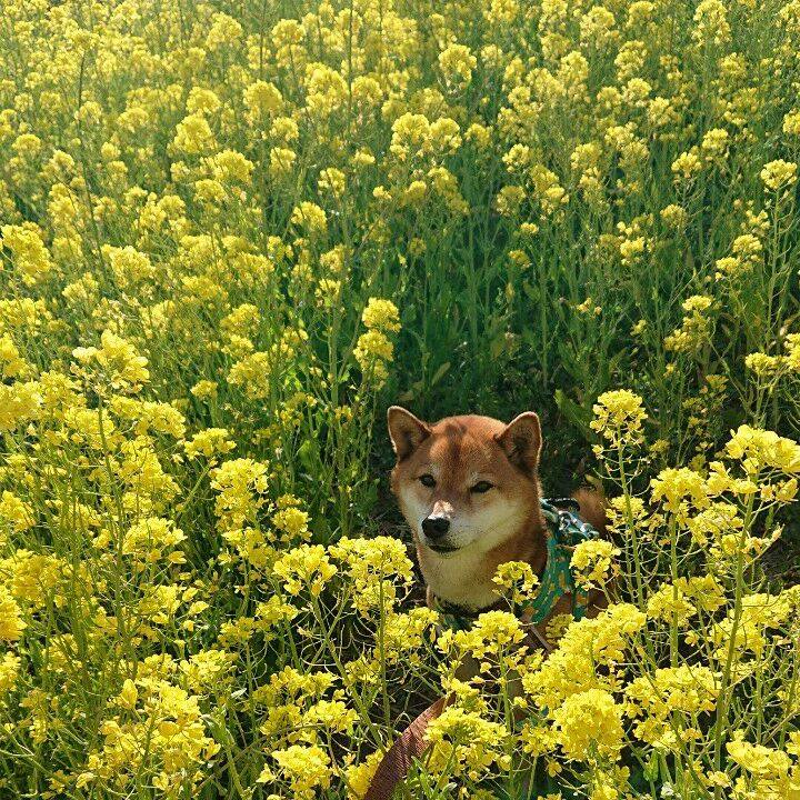 3d0e88a0 1b1a 441e 8a4c 1165746cc2e3 1554362875978