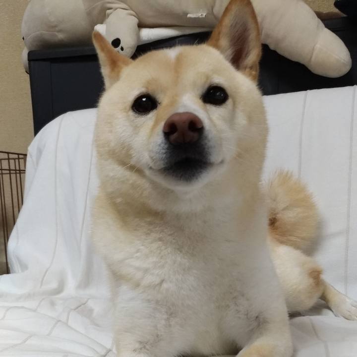 3d0ea7fb 0f88 4808 8083 a43967690af5 1596145879425