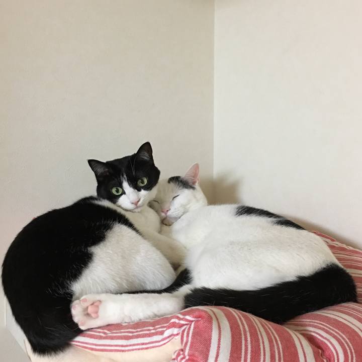 3d0eb0e4 e49f 43b6 8398 284396cee789 1508162081716