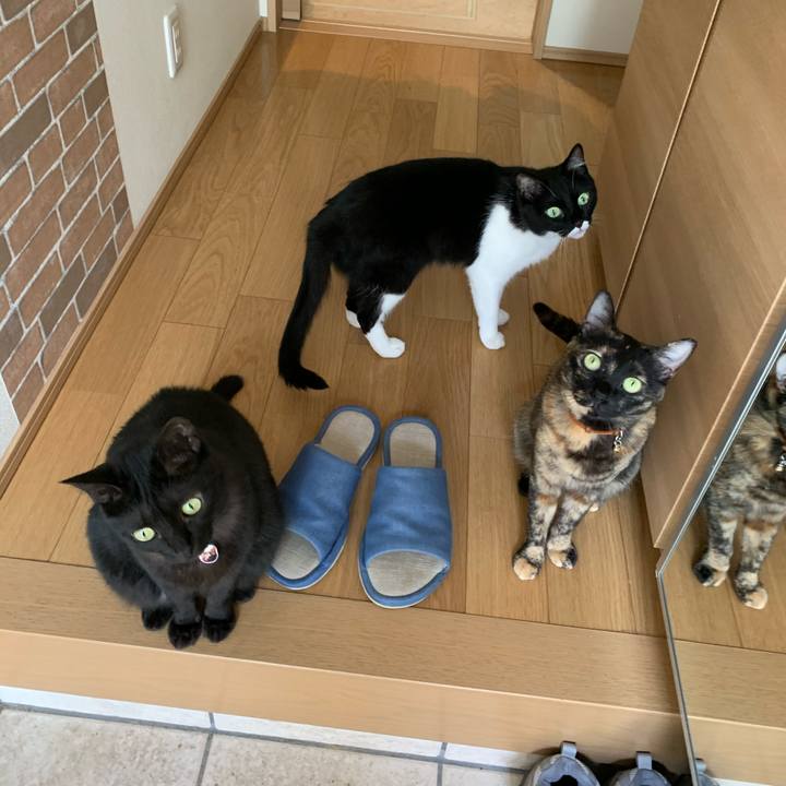 3d0ee132 d722 4fac bbca 25c035788cc2 1592374609370