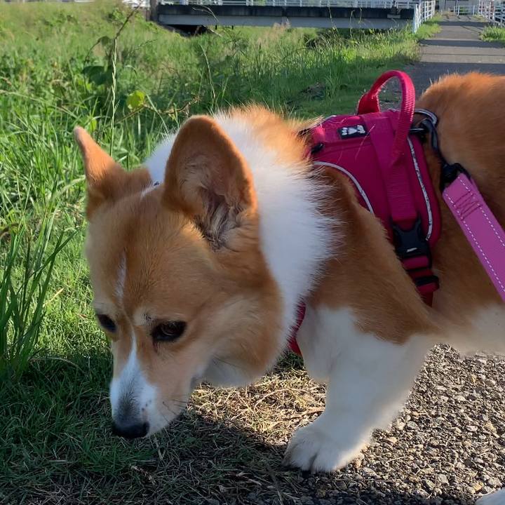 3d0ee3ac ebda 4057 b67a 44f361c87517 1621985284702