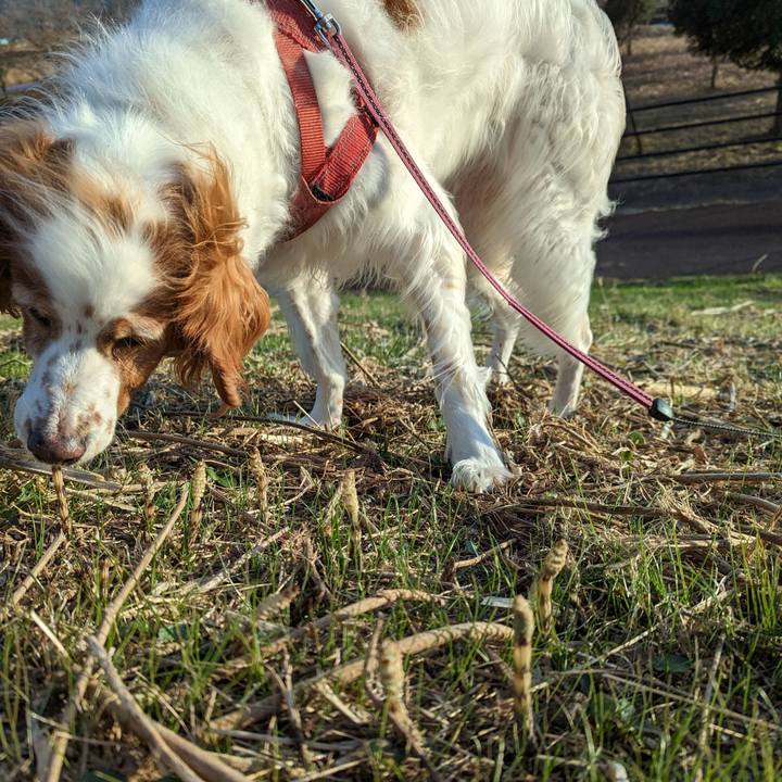 3d0ef093 a2f6 4700 a299 1608a7e57b5d 1673351472593