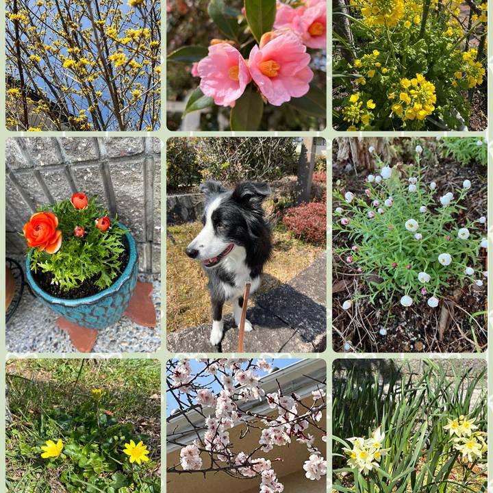 3d0f2177 14eb 4c25 96d0 2d4cae00013b 1773225692997