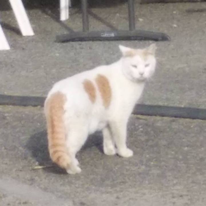 3d0f34c6 d5ad 4639 a735 c1afad2fb4fc 1614910053726