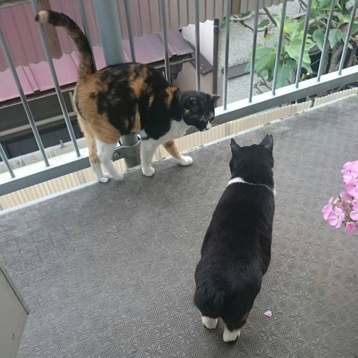 3d0f4694 4746 46b3 8da8 42cf70b1af6c 1525644810698