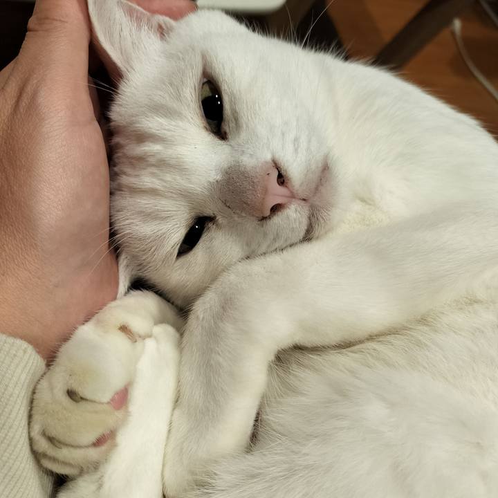 3d0f96ca 4daa 458f 86d4 72ede841a796 1766720804171