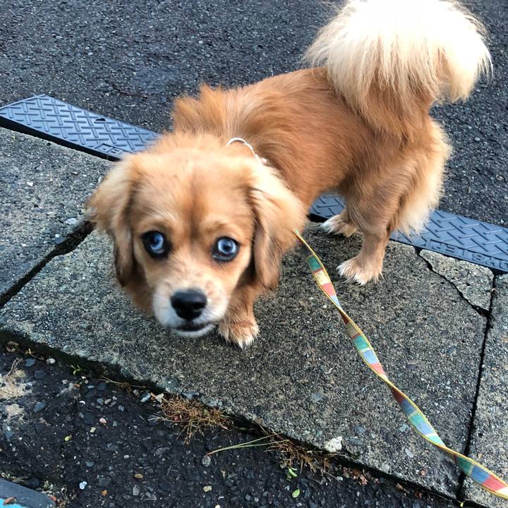 3d0fa7dd 73a1 40d5 87c4 a11bbd8d9e47 1510699027691