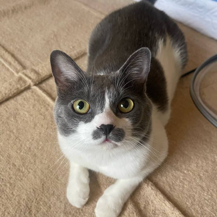 3d0fb66c 71a9 44c5 9172 c7ae709d17eb 1726262620976