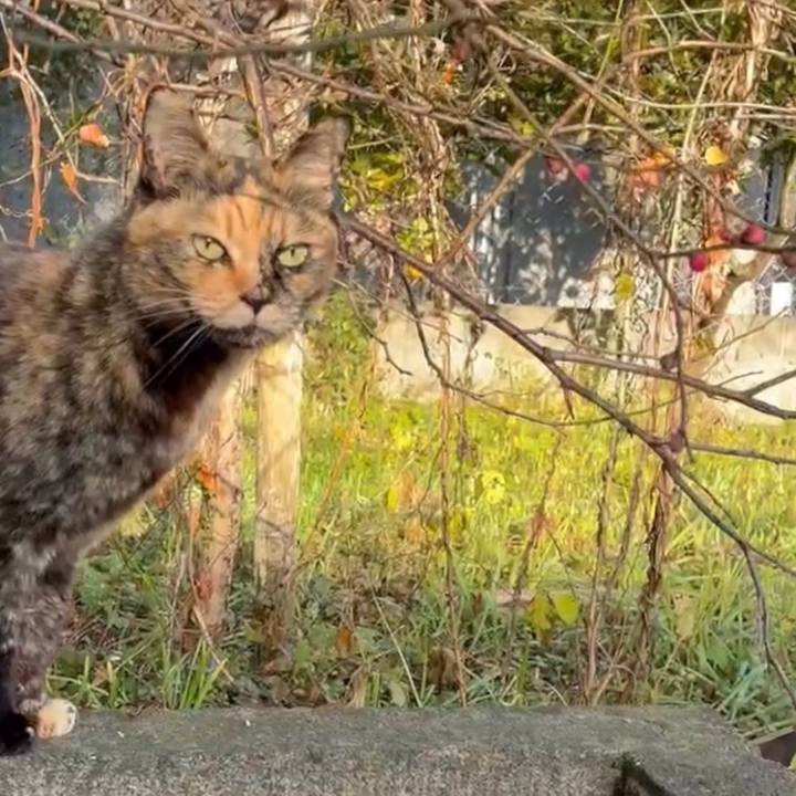 3d0fe4fb 42d7 4370 9b33 05f1fafa9dae 1768572606689