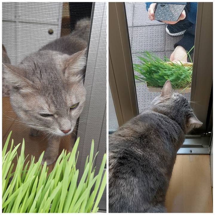 3d100655 ba4f 4daa 8db2 aef14a24a3b4 1603423903561