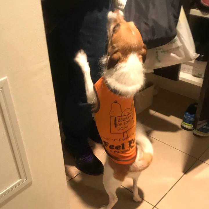 3d1008ae 9046 4f43 ab87 953f4e90fdaf 1535068994358