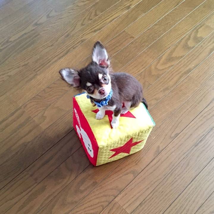 3d101735 ec71 4c17 b2b8 5f07da017742 1539530230008