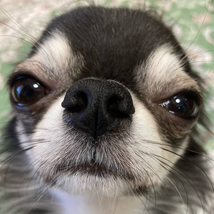 3d101e78 6356 43c7 9df9 f00119e93b3c 1668810802472