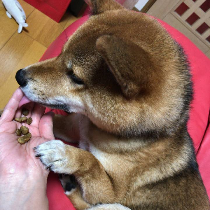 3d102161 f379 43ef b315 0e3cfcb9cee6 1518780812313