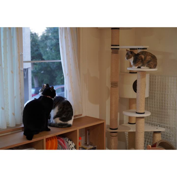 3d102ba2 130c 490d 8d83 c731543c2223 1576022401483