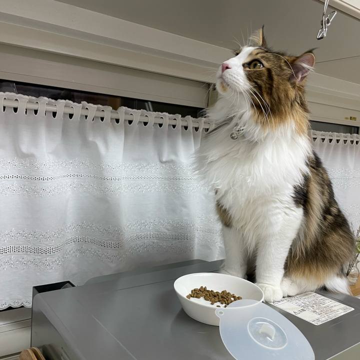 3d104b84 b6ef 4b7d 80d4 e9b109b6fdef 1647637427214