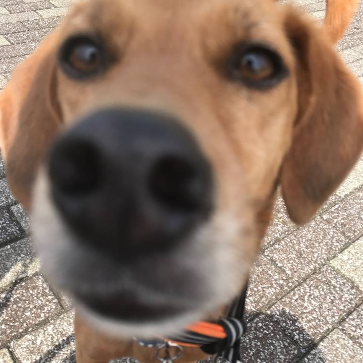 3d105d03 6b80 4343 a295 3ff7155ce29c 1522048418892