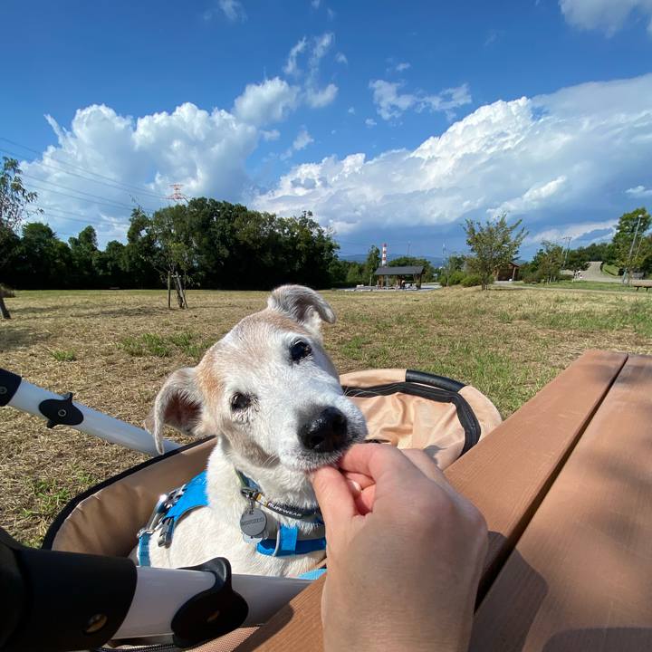 3d106533 01c2 4f4a b6a9 69e8c9a05b34 1697342416719