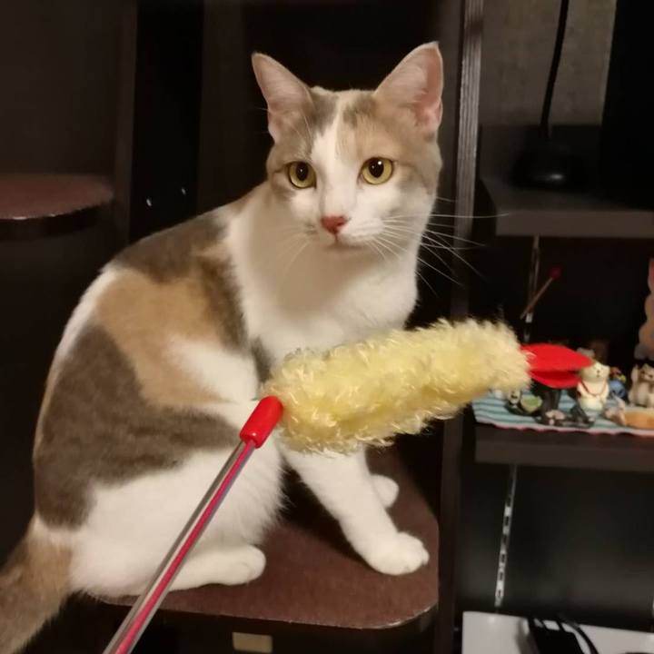 3d1079fc 4b4f 4324 80e0 263807335efe 1567348310108