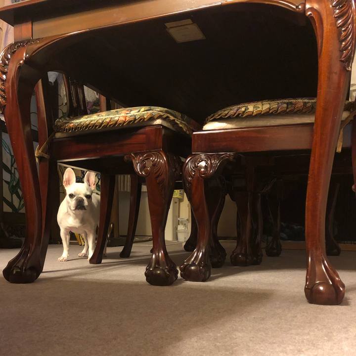 3d107a6e 1caa 4efa 8823 c1cb0b25101e 1572695507573