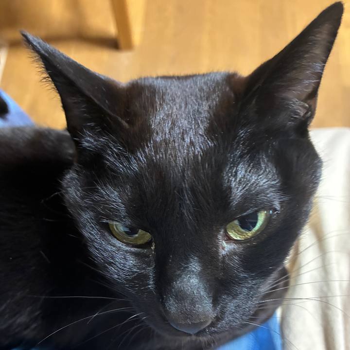 3d109579 7db2 4f73 9a0a 2b471235d5e1 1743341569752