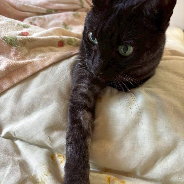 3d10b67b c927 4618 aeee 2dc2df5717d0 1755904799488