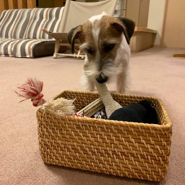 3d10cd47 65cc 4ed9 b844 b542c32e7571 1576845405262