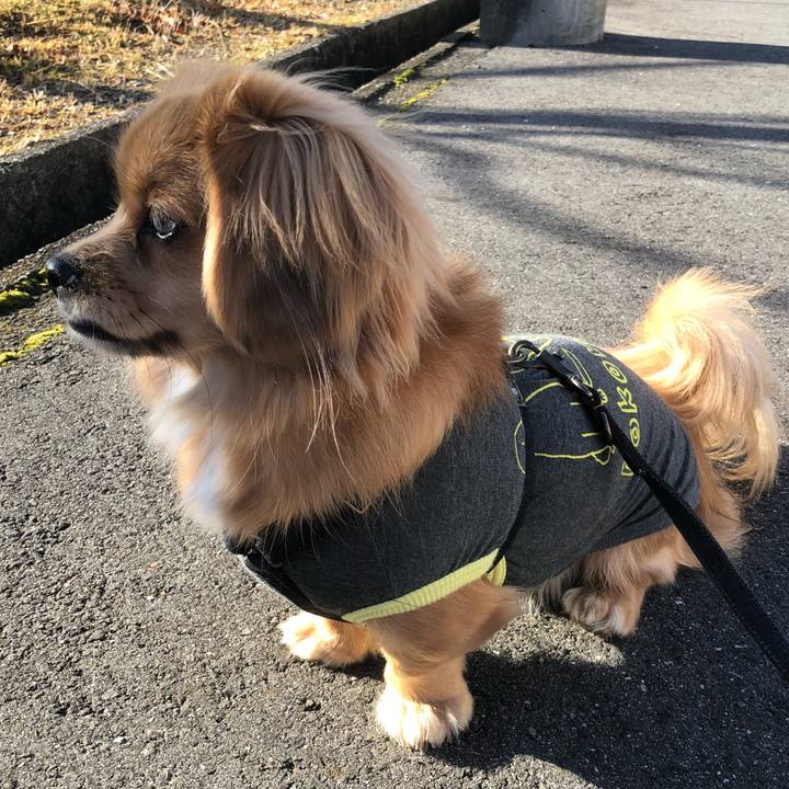 3d111021 541a 4fd1 8217 c34bb18cecee 1514855824832