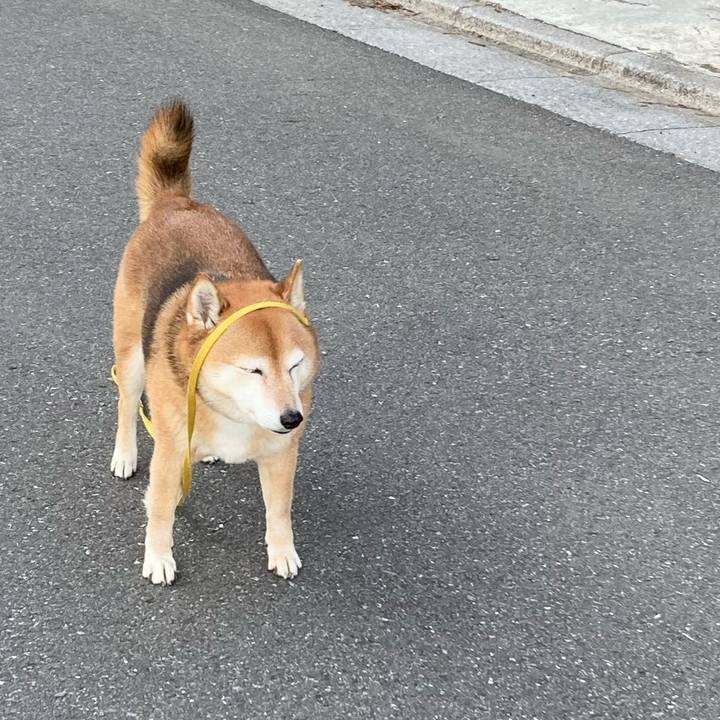 3d111f4e 6e9a 4e87 b861 1942f10e3a43 1644652761995