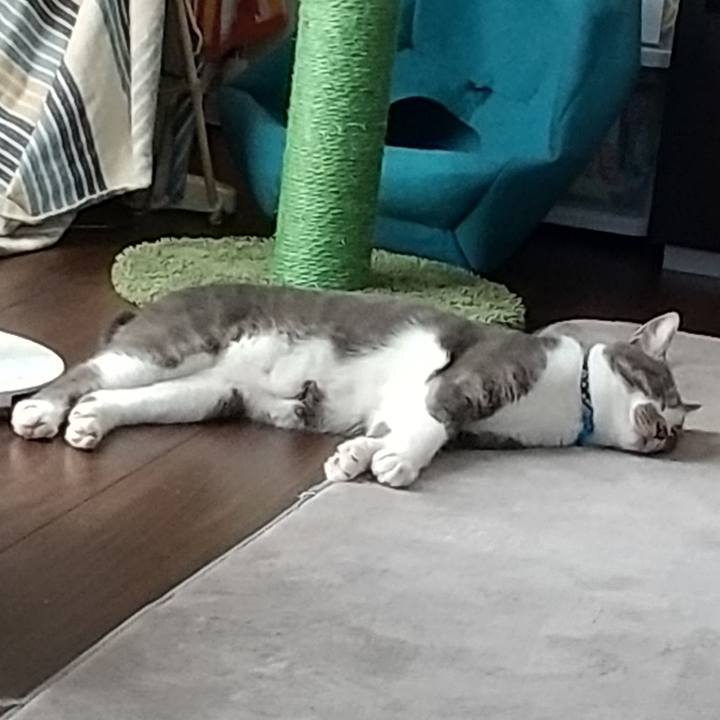 3d1120d3 852a 4e64 a7d8 6a6285e8f6c0 1597121160184