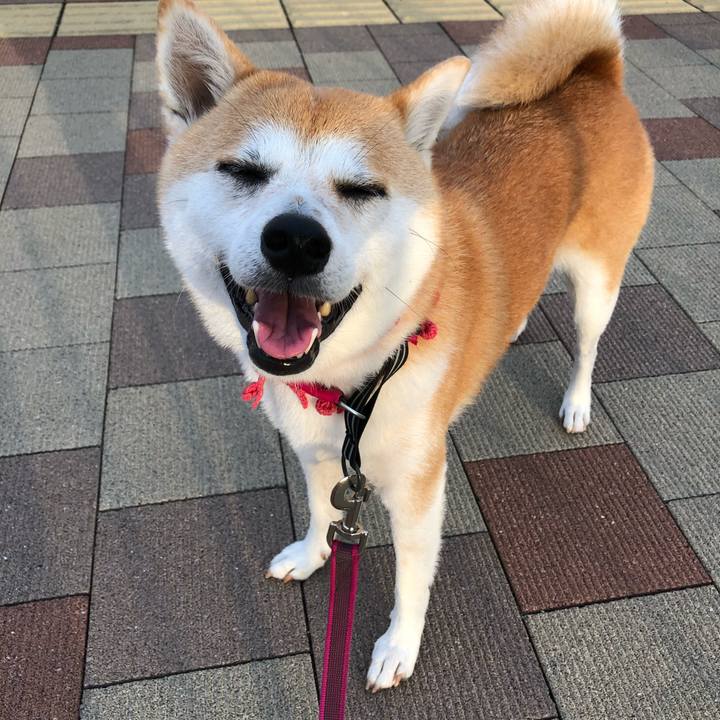 3d112396 ebff 432a 9cb9 70c5b8311a91 1537229965737