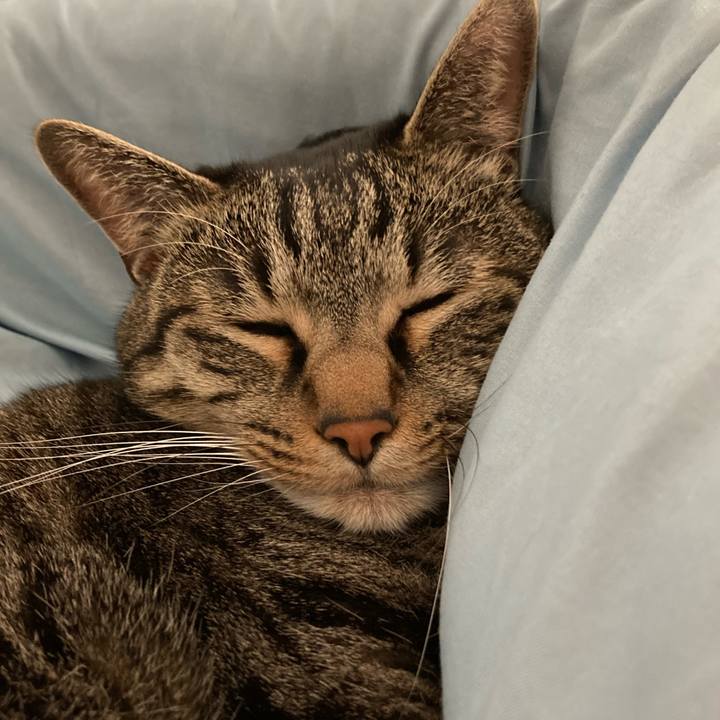 3d114e5d 9847 40b0 8481 28b9a05cbeb4 1613266534672