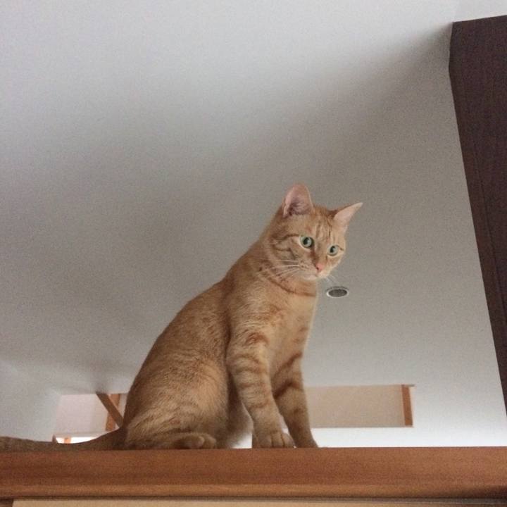 3d11677d f791 4206 9853 dd34b0af7df7 1535843661307