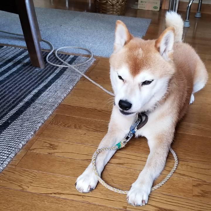 3d116e59 a6b0 4c00 93ac 380fb6eb4560 1532416648754