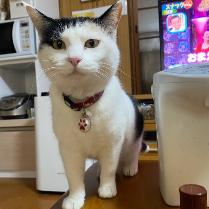 3d11e6ee 2f01 4e73 9330 3abcadb326f6 1644754229309