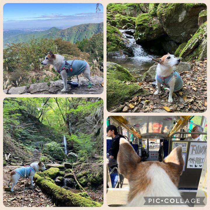 3d11fce2 f1de 4853 90fa 1271b1defdb4 1729988664367