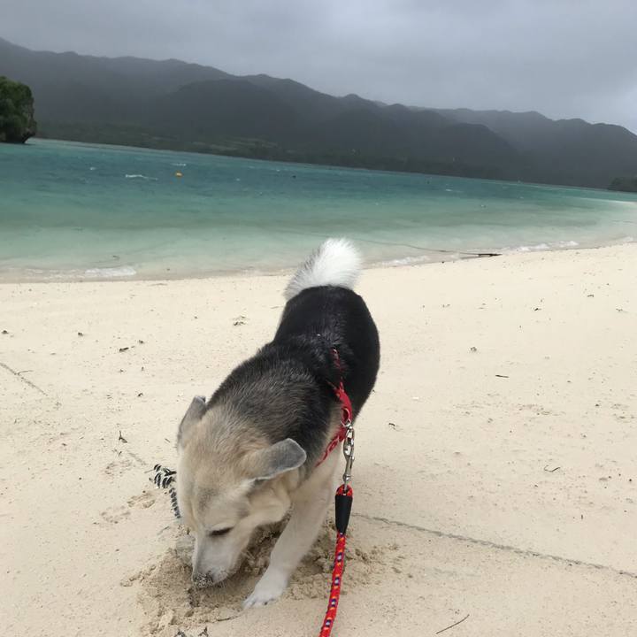 3d120285 f7fd 462e aa11 1fd440cbd4c5 1565222745076