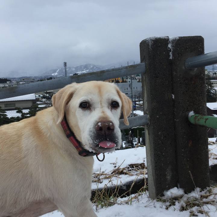 3d120deb aebc 4138 a662 1af01cb7341b 1548835096938