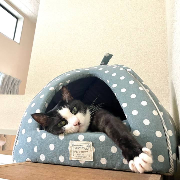 3d124d10 5f8a 4aa9 b5a0 007eb6c42288 1669868136678