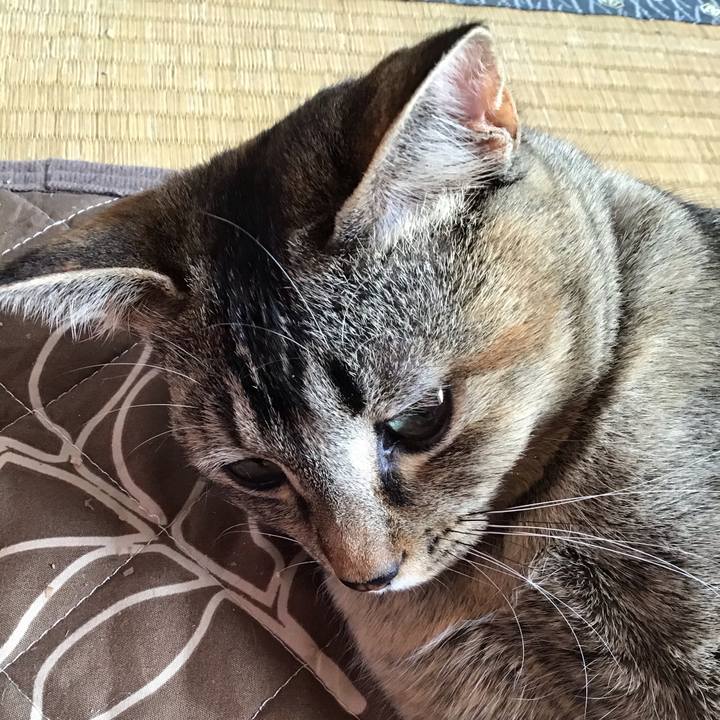 3d124fda 04a8 4818 9bce 35f77531061e 1585789444299