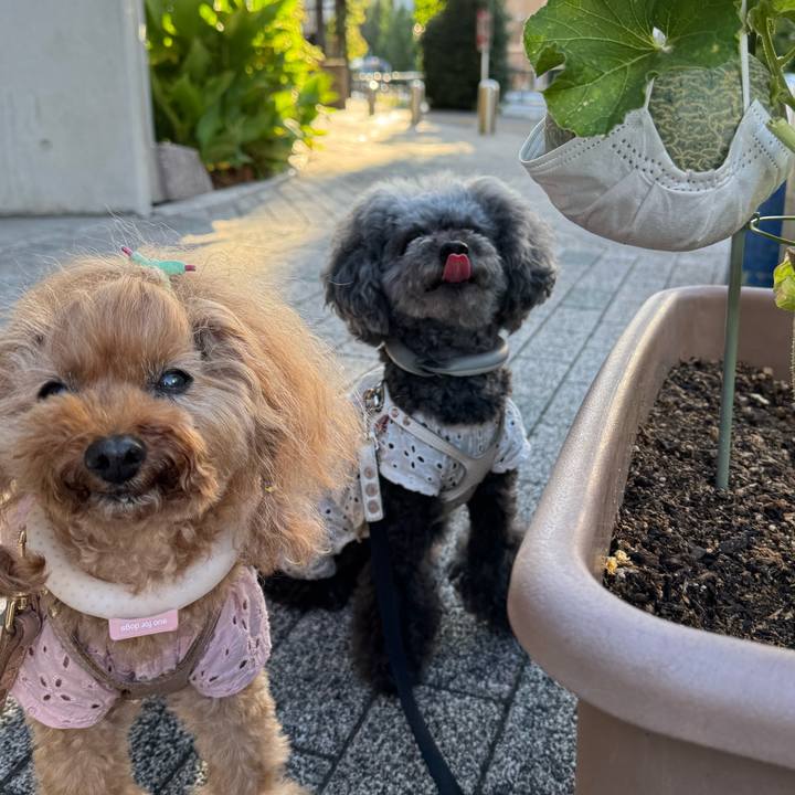 3d126785 b788 4d77 8333 3a3117cda25f 1753830543135