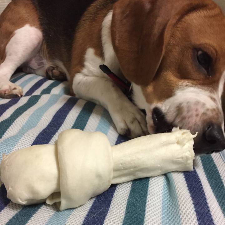 3d129767 0015 4c4d 8f8c e214aa4e9700 1535349788373