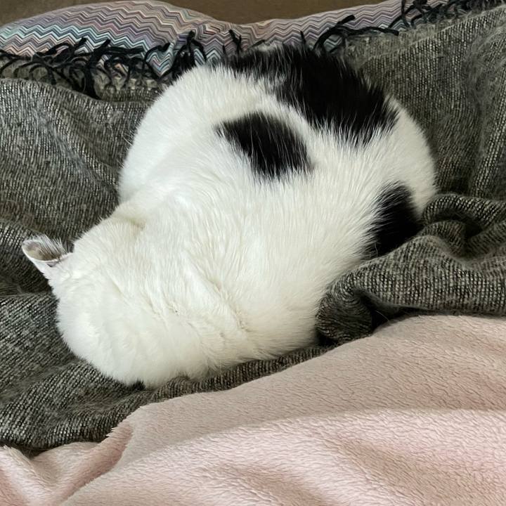 3d129ef6 8fbf 4aee 9530 1a7692e5114b 1667707276104