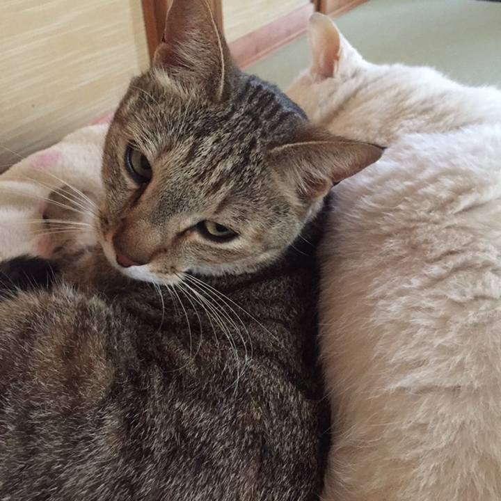 3d12b02a 6733 4e45 aa6f 1623b63bc7f5 1558651963588