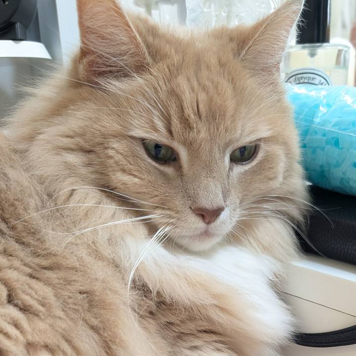 3d12bebc ba86 4389 91d9 ae38820c7d17 1735649294402